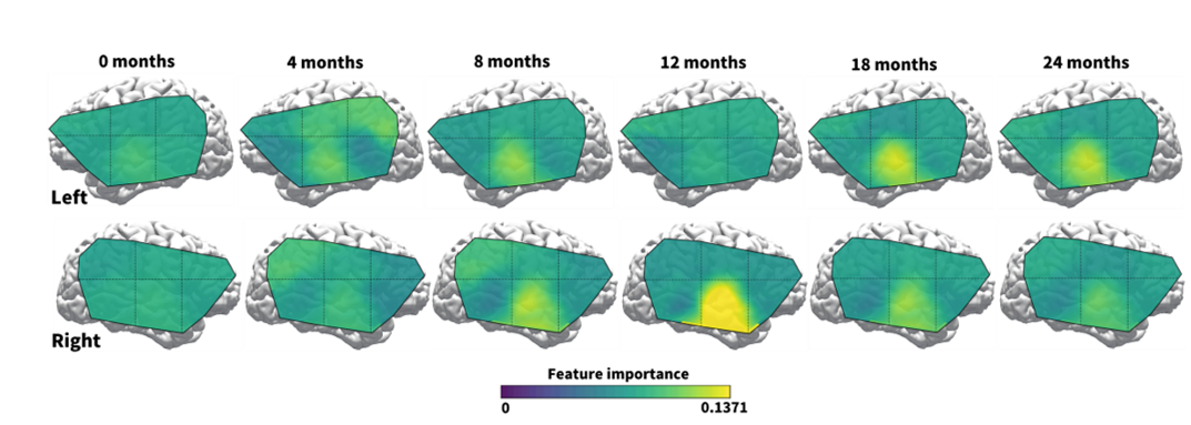AI-Driven Cognitive Neuroscience